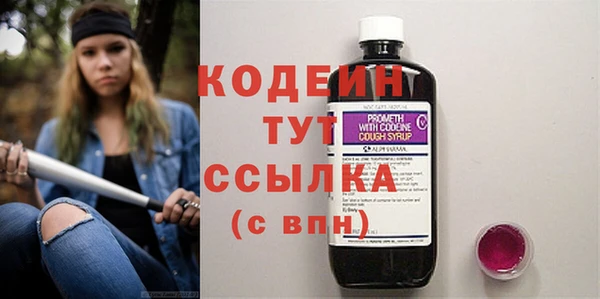 дмт Богородицк