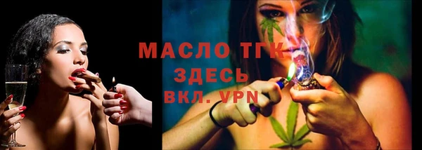 дмт Богородицк