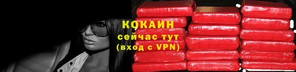 твердый Богданович