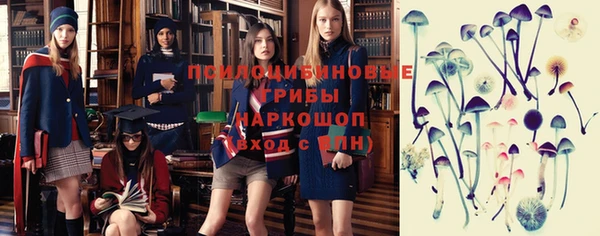 ГАЛЛЮЦИНОГЕННЫЕ ГРИБЫ Бугульма