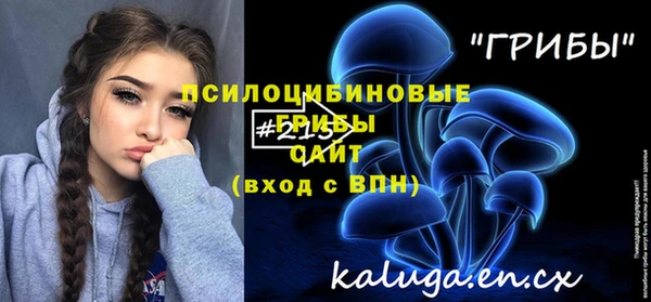 ГАЛЛЮЦИНОГЕННЫЕ ГРИБЫ Бугульма