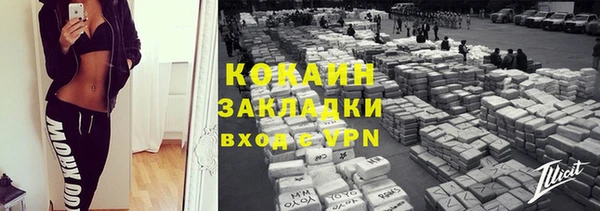твердый Богданович
