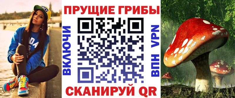 где продают   Вуктыл  кракен маркетплейс  Галлюциногенные грибы мицелий 
